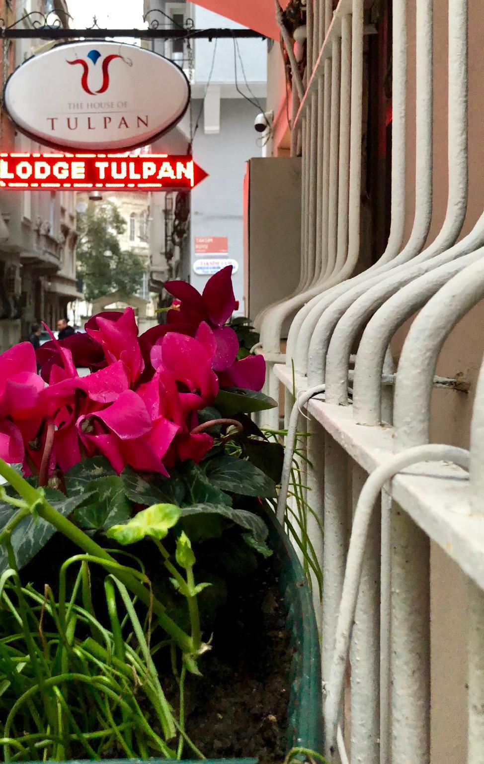 The House Of Tulpan מלון