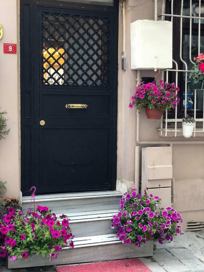 The House Of Tulpan איסטמבול